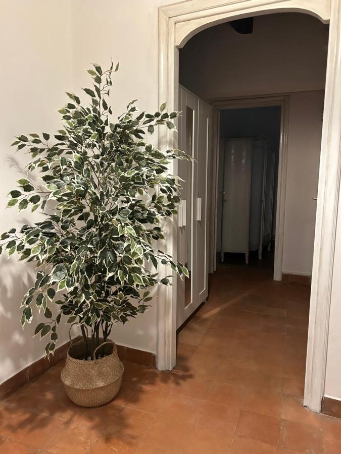 오스티아안티카 La Casa Di Gioia 아파트 외부 사진