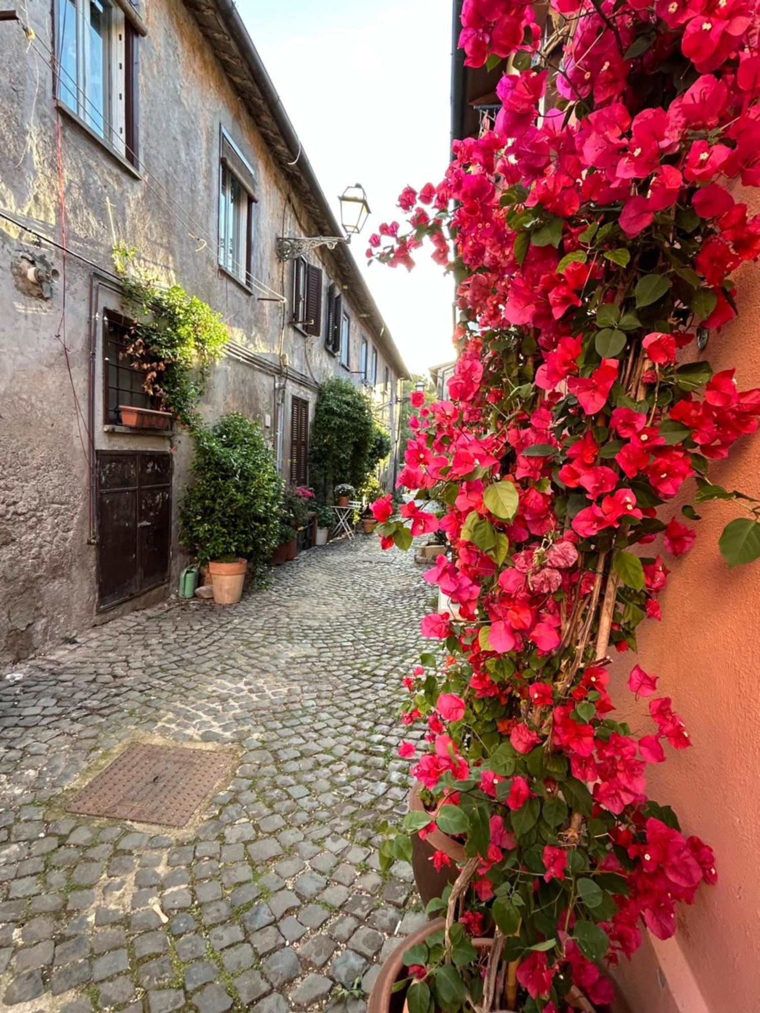 오스티아안티카 La Casa Di Gioia 아파트 외부 사진